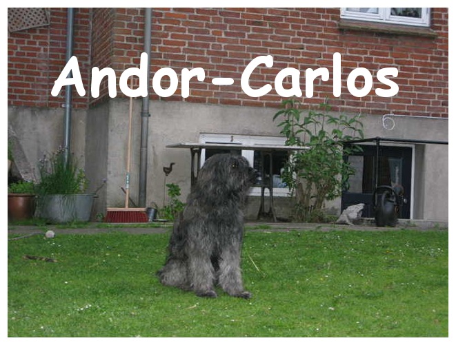 Carlos 2 Jahre
