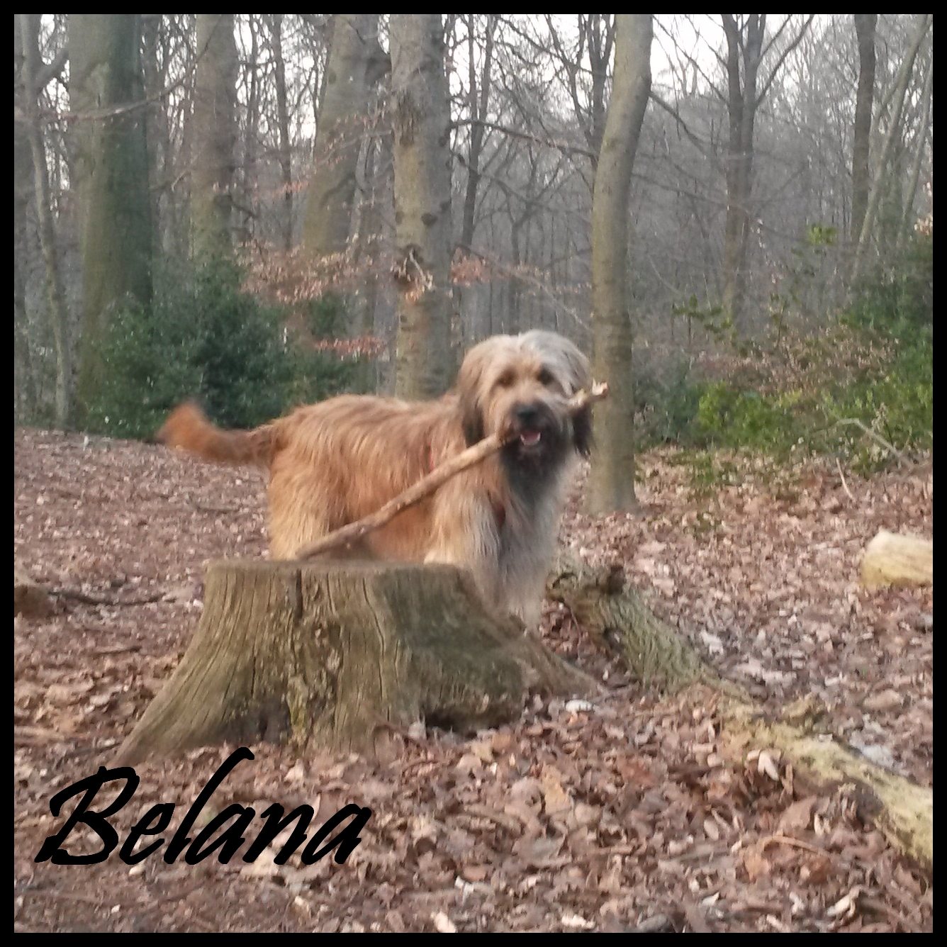 Belana 4 Jahre