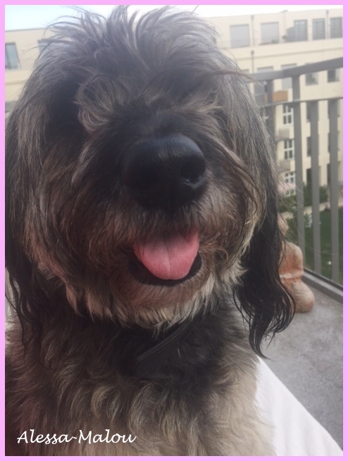 Malou  8 Jahre