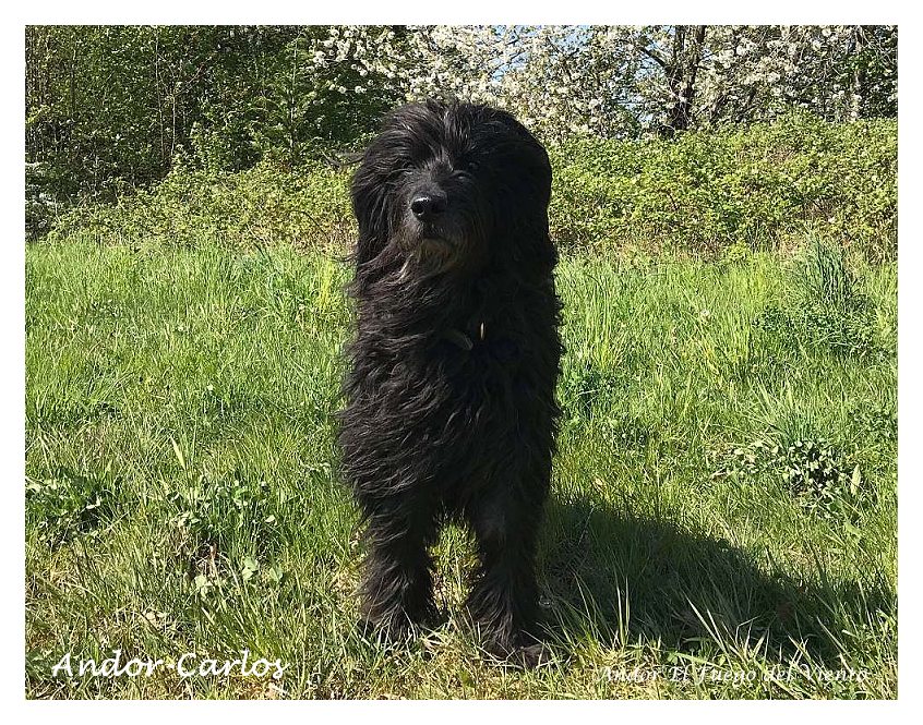 Carlos 10 Jahre