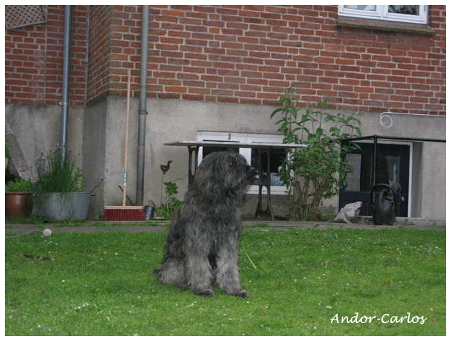 Carlos 2 Jahre