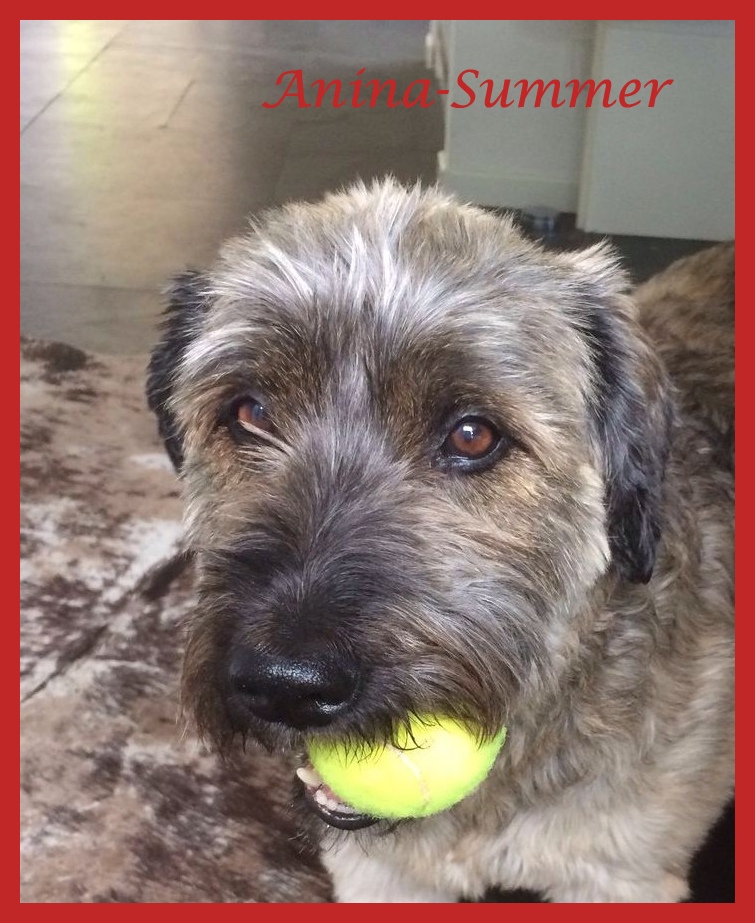 Summer 8 Jahre