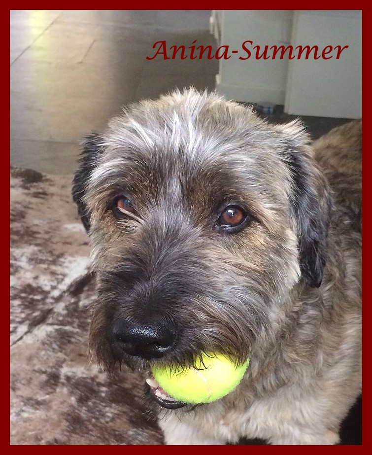 Summer 8 Jahre