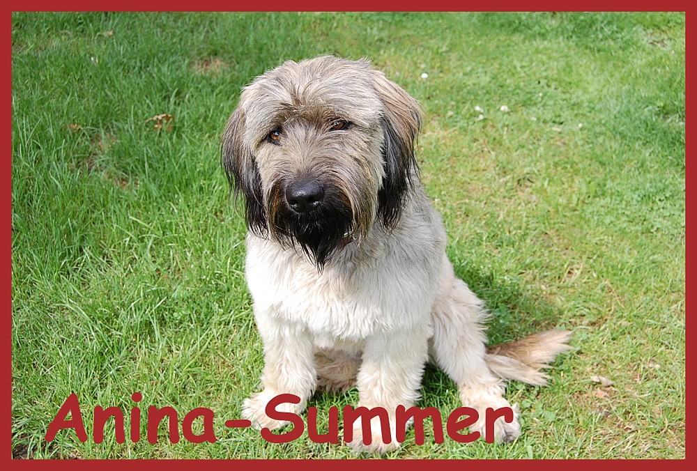 Summer 2 Jahre