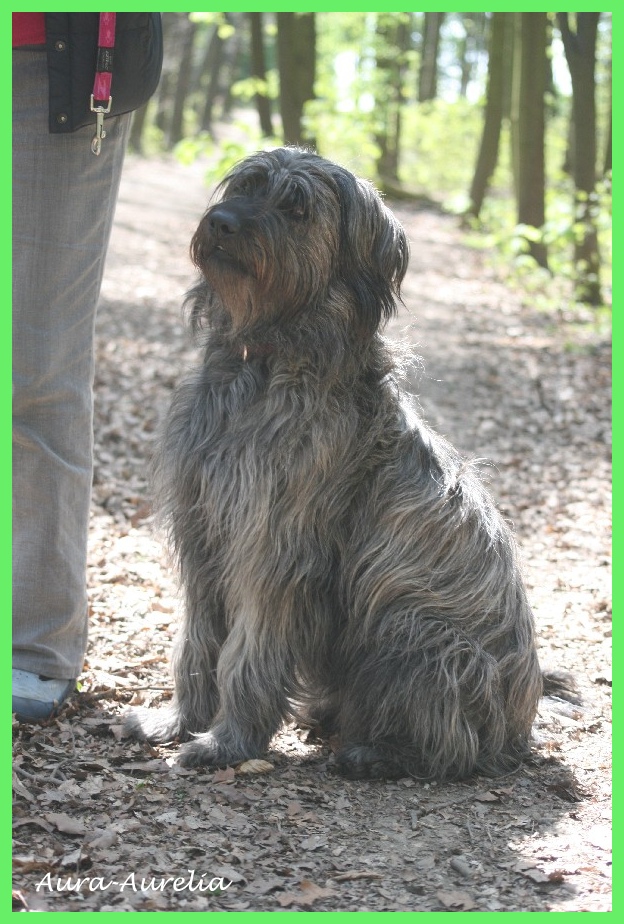 Aurelia 2 Jahre