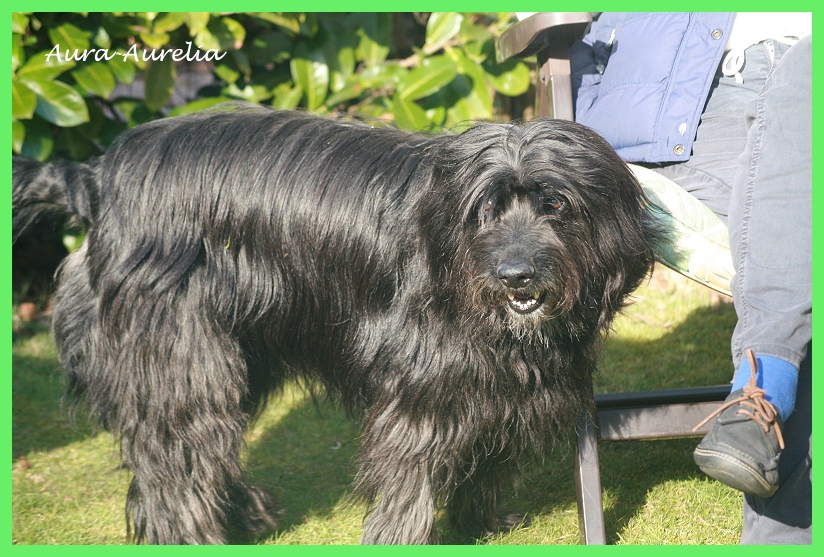 Aurelia 10 Jahre