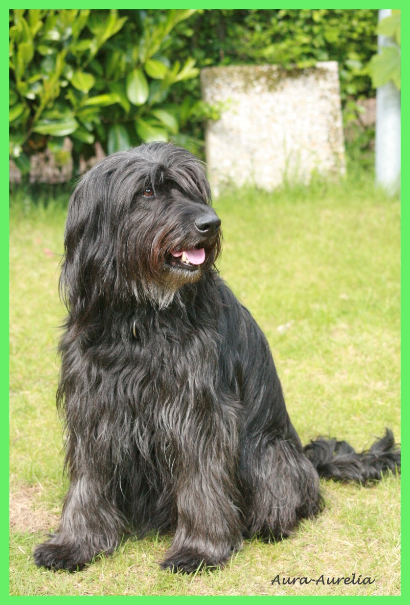 Aurelia 6 Jahre