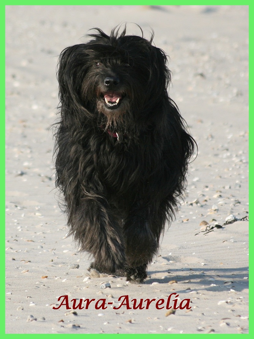 Aurelia 8 Jahre