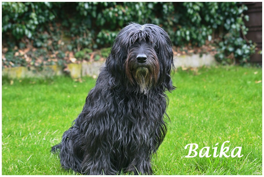 Baika 8 Jahre