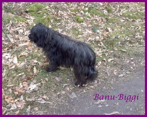 Banu 8 Jahre