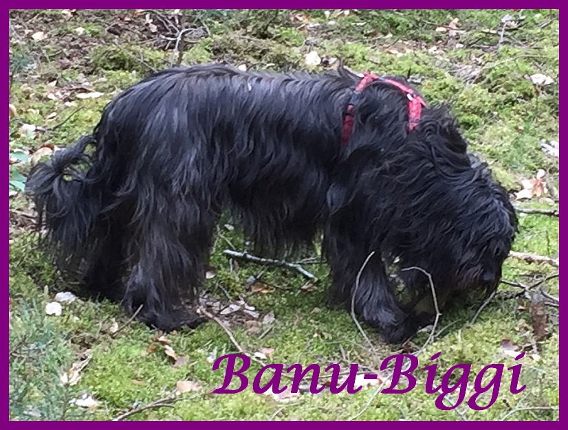 Banu 6 Jahre