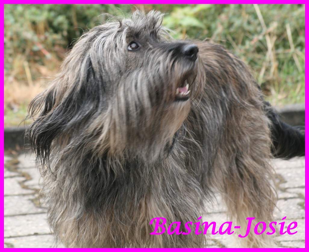 Basina 6 Jahre