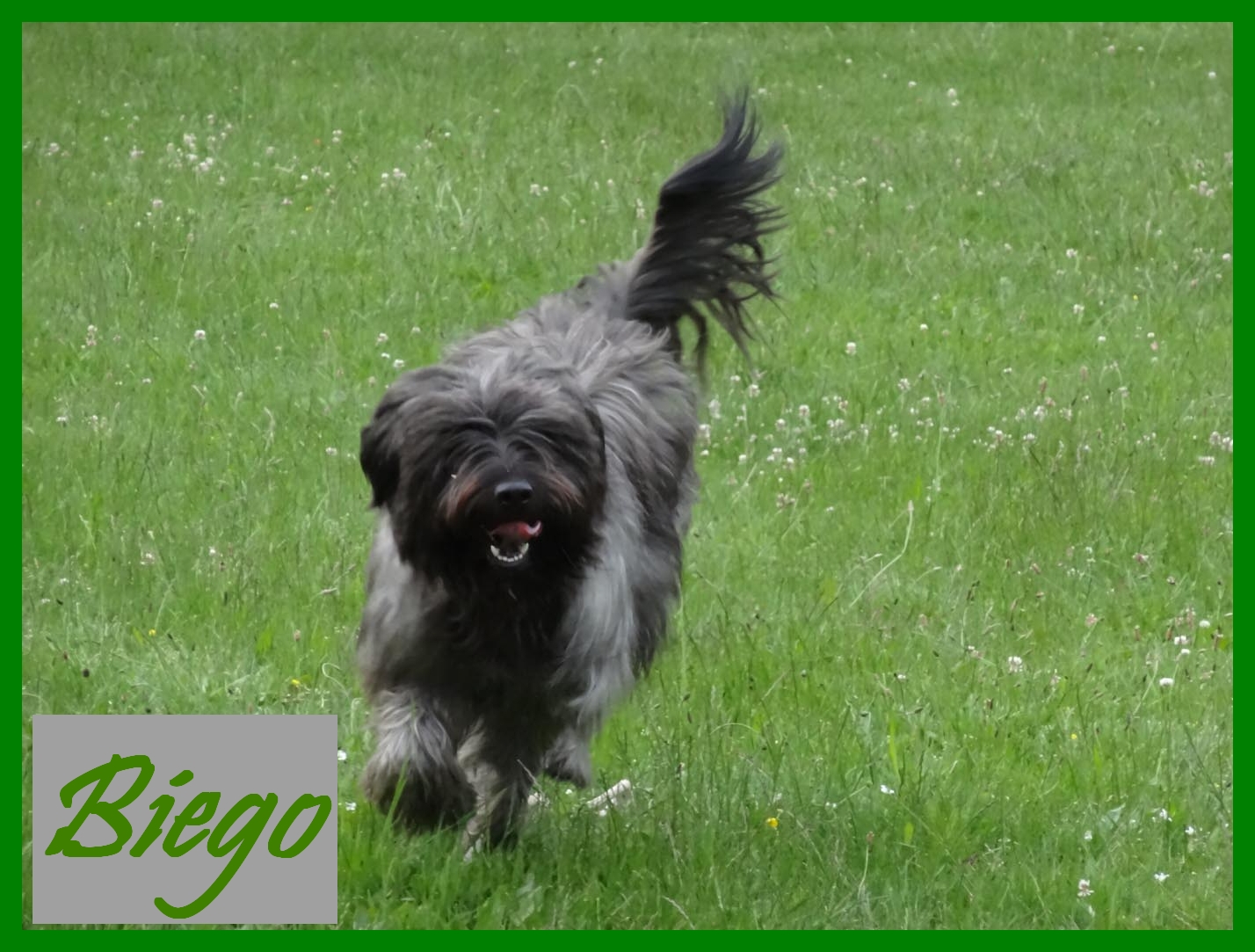 Biego 4 Jahre