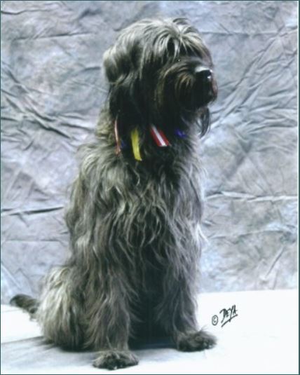 Branka