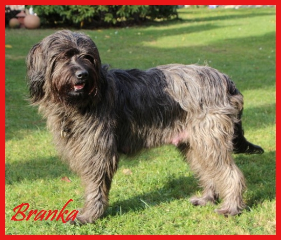 Branka 4 Jahre