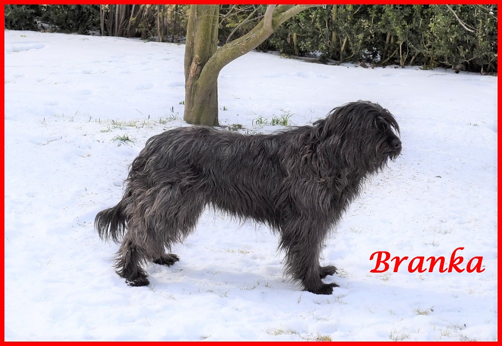 Branka 8 Jahre