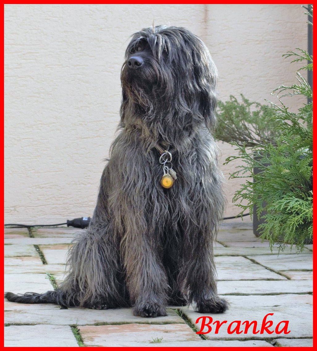 Branka 6 Jahre