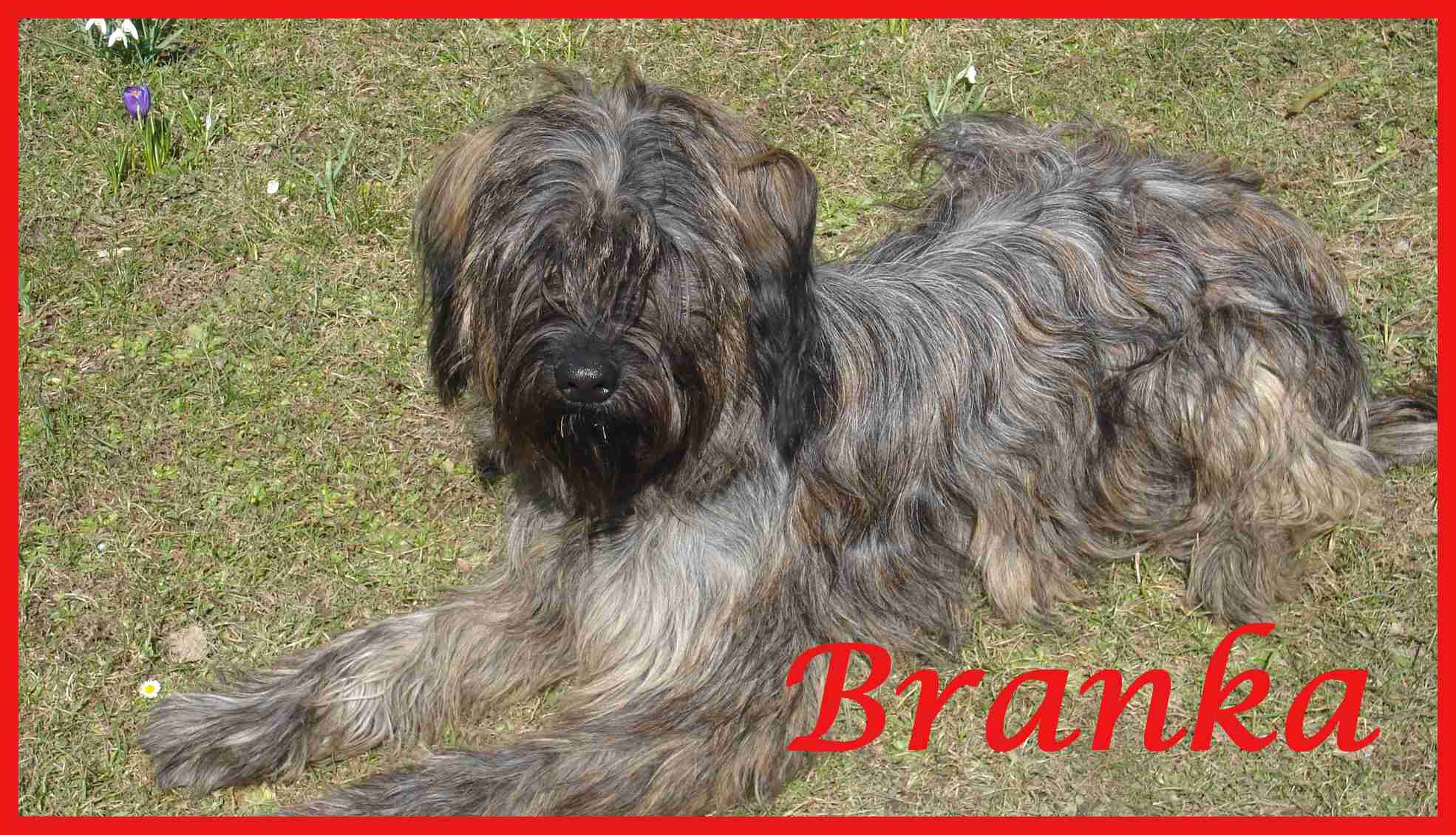 Branka 1 Jahr