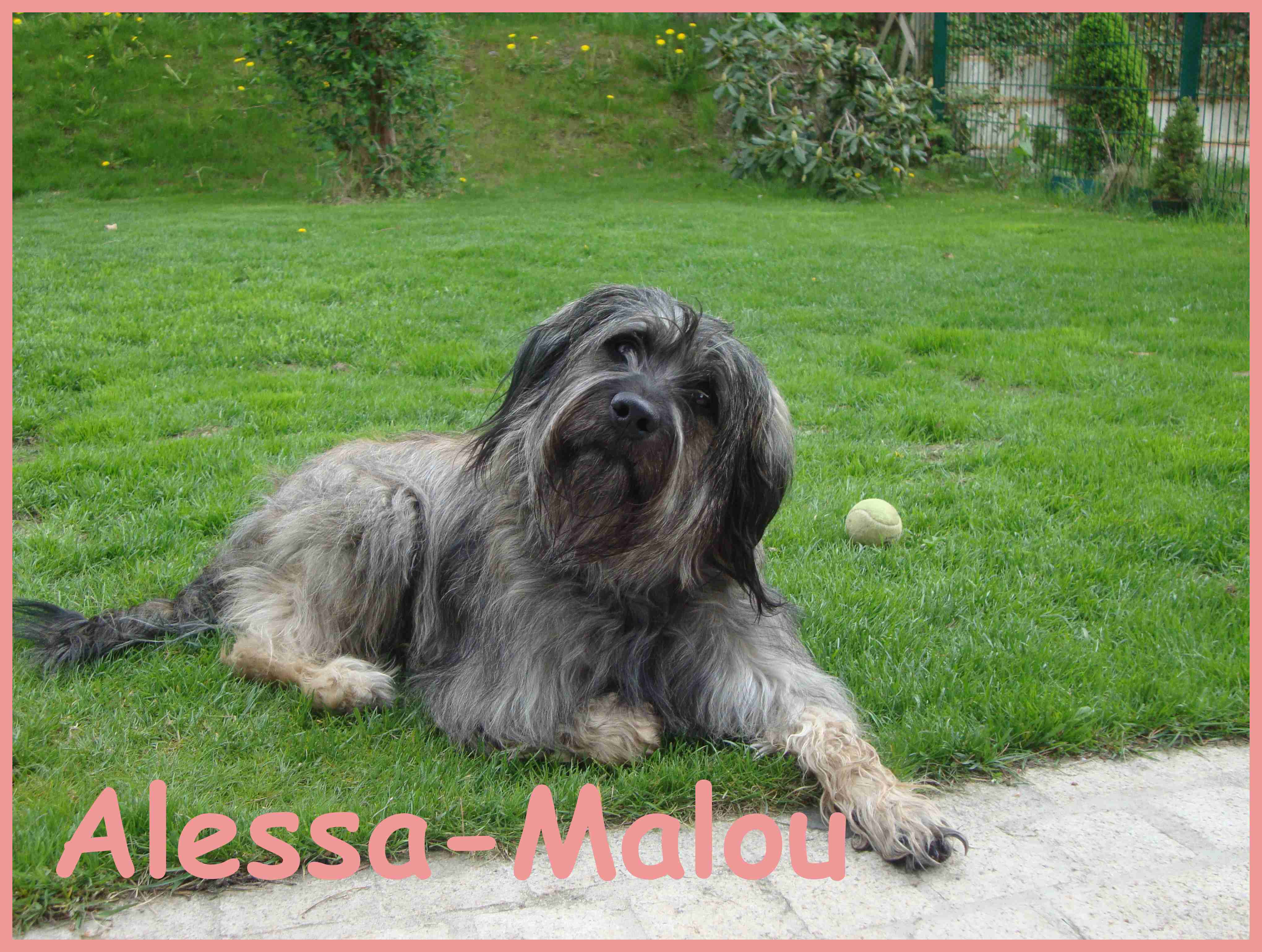 Malou 2 Jahre
