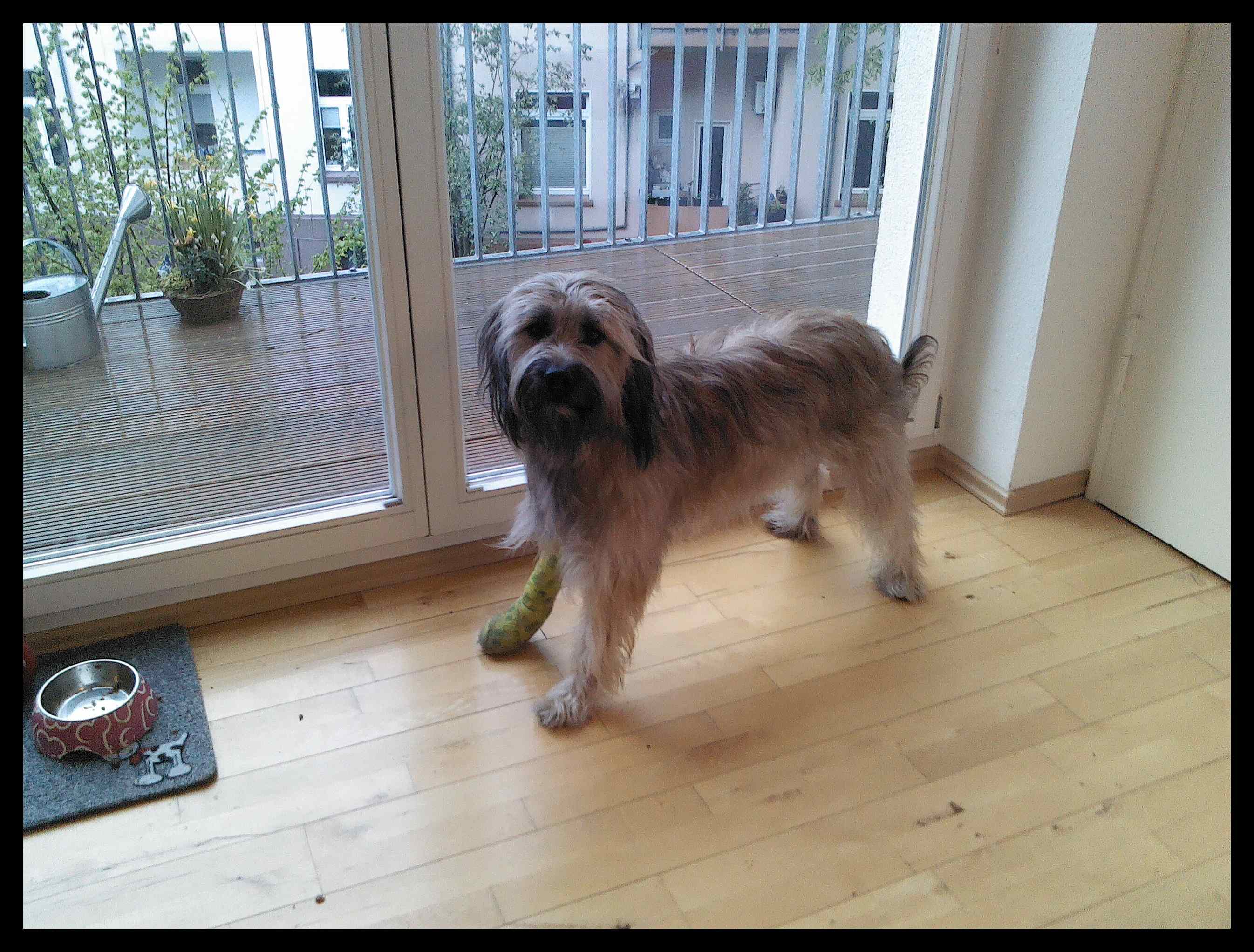 Belana 2 Jahre