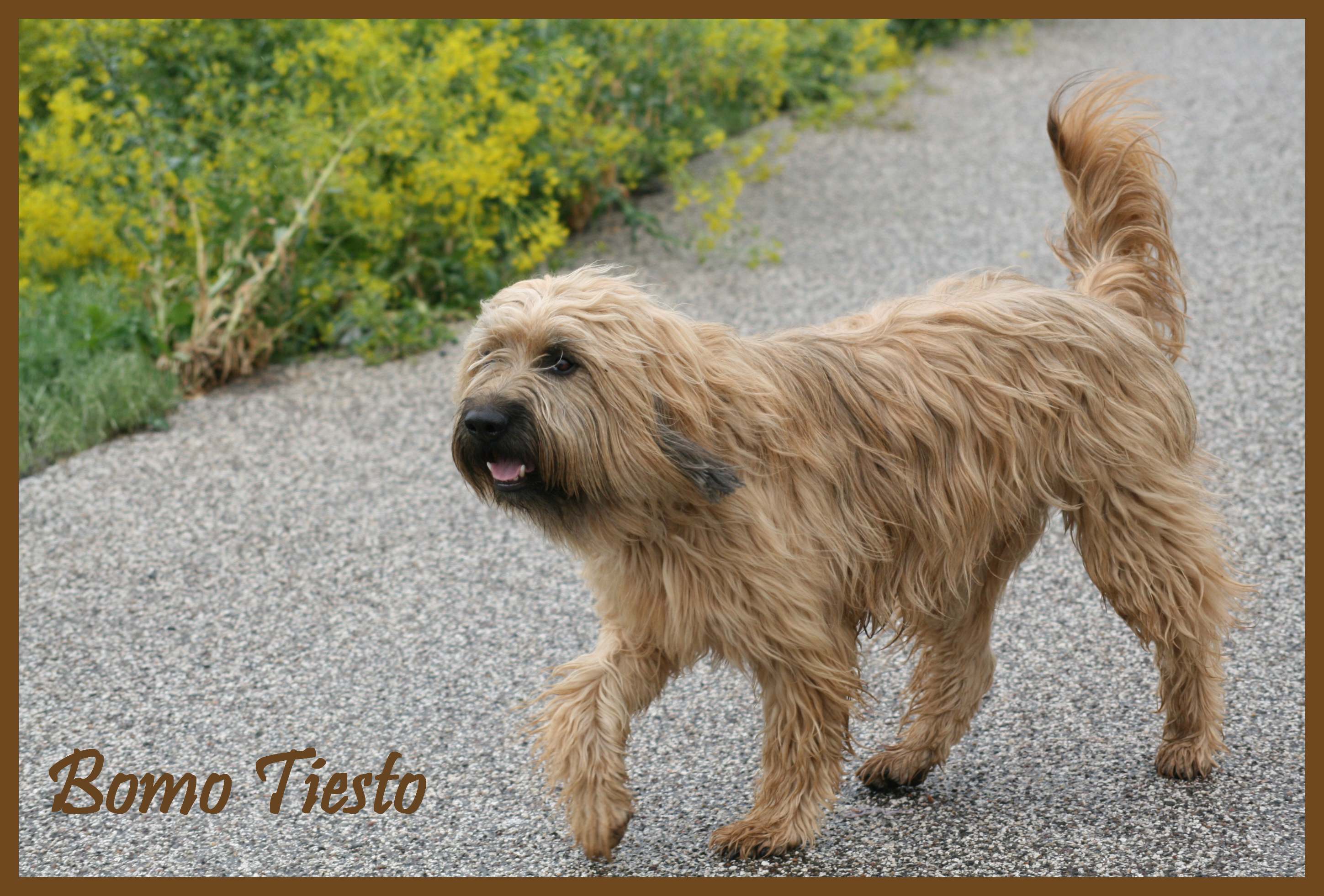 Tiesto 4 Jahre