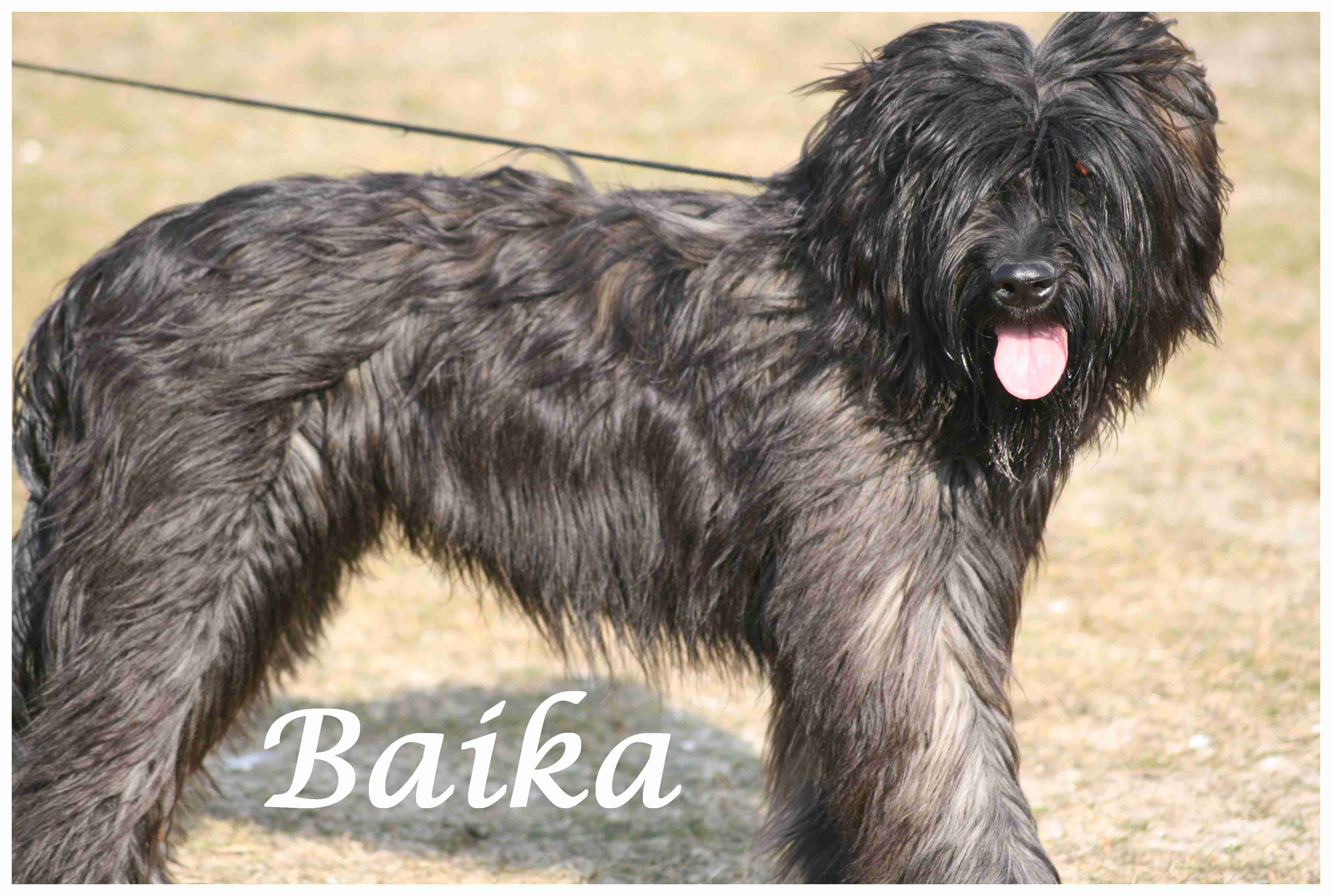 Baika 1 Jahr