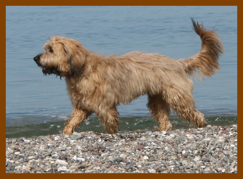 Bomo-Tiesto 2 Jahre