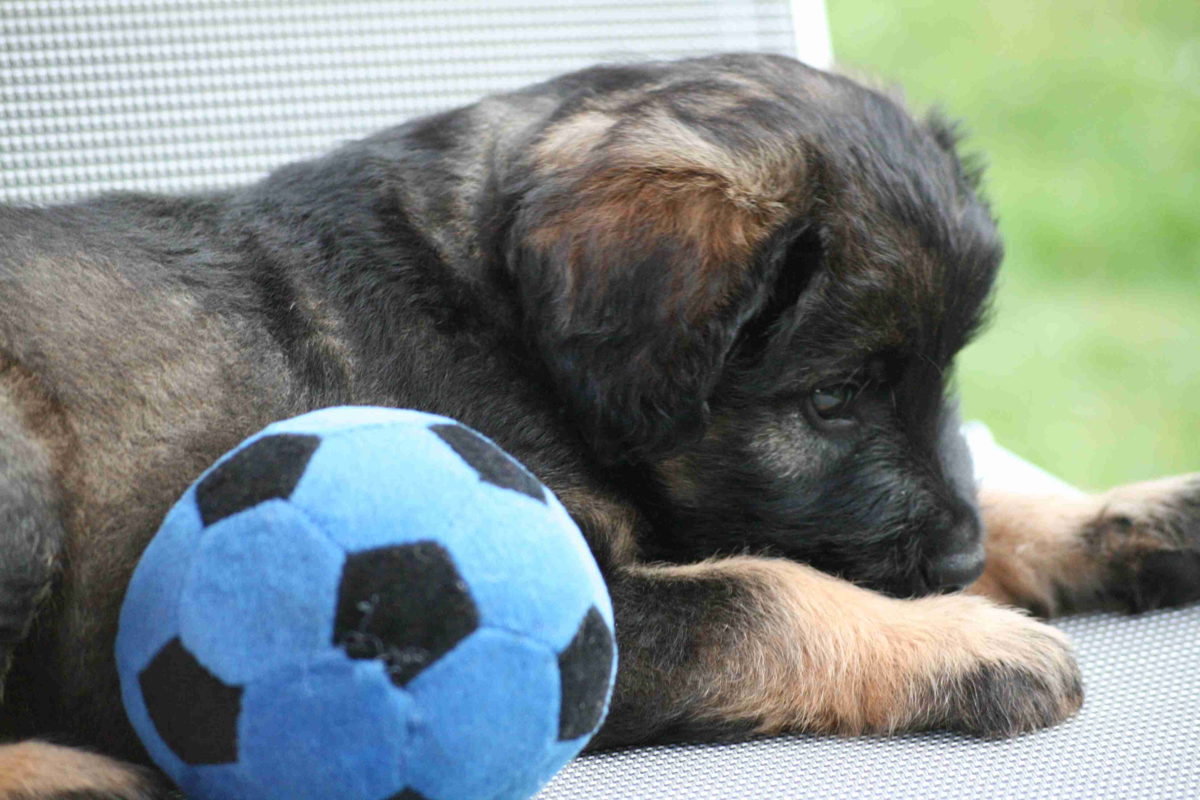 Bungee - Tinos 8 Wochen