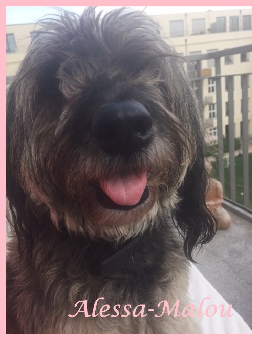 Malou 8 Jahre