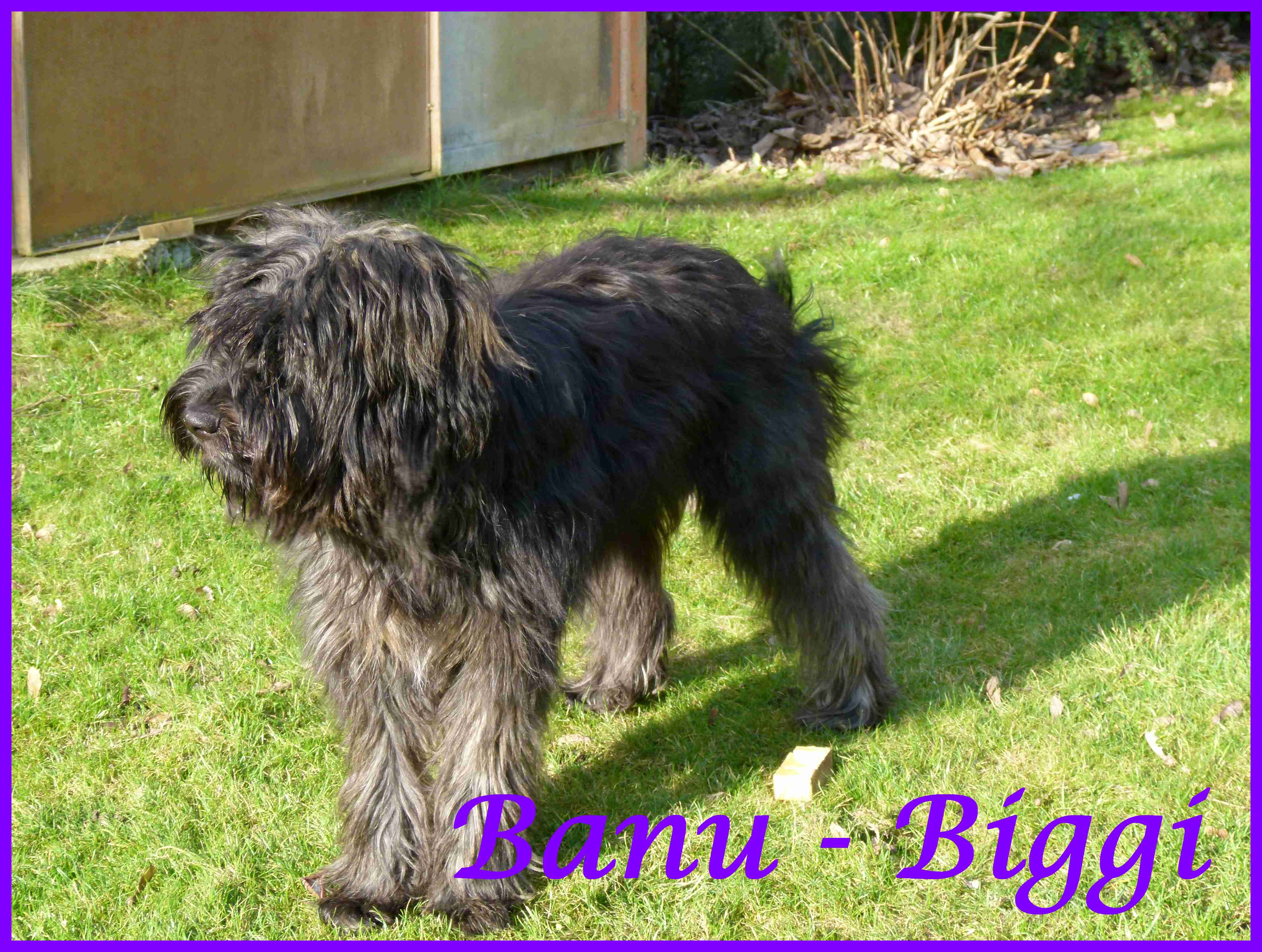Banu-Biggi 1 Jahr