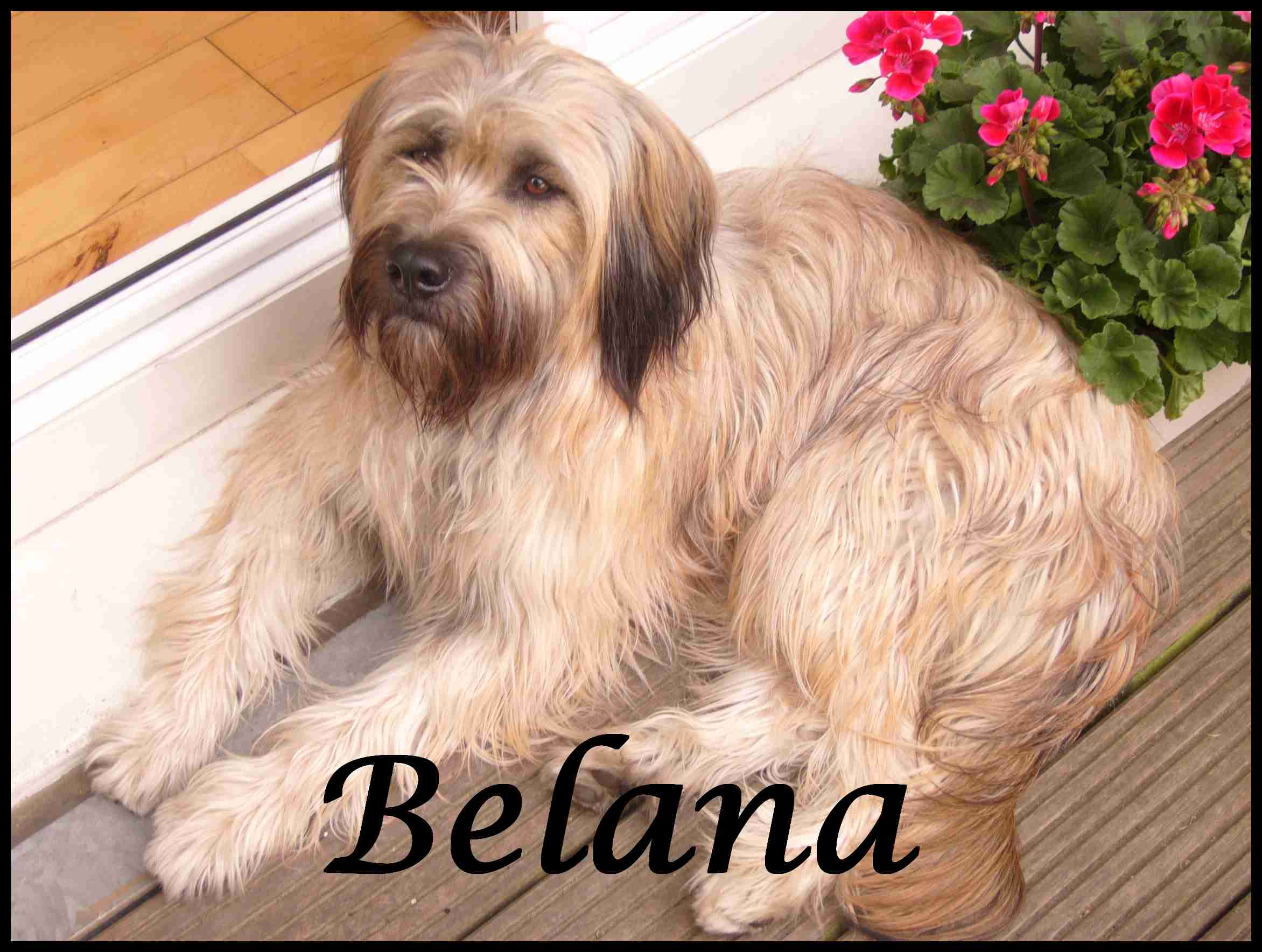 Belana 1 Jahr