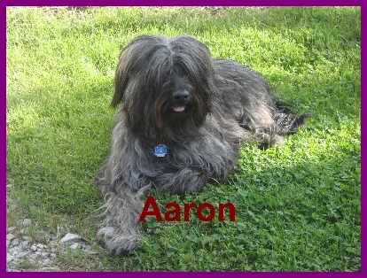 Aaron 1 Jahr