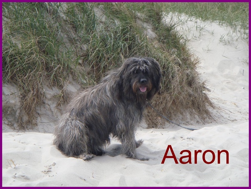 Aaron 2 Jahre