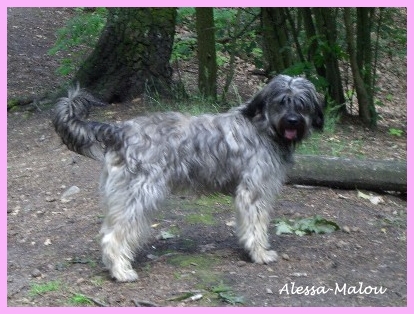 Malou 1 Jahr