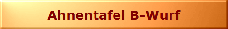 Ahnentafel B-Wurf