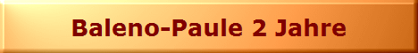 Baleno-Paule 2 Jahre