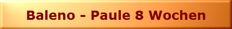 Baleno - Paule 8 Wochen