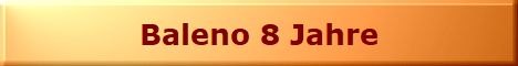 Baleno 8 Jahre