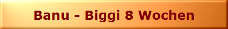 Banu - Biggi 8 Wochen