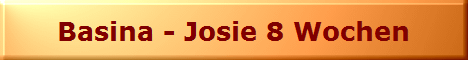 Basina - Josie 8 Wochen
