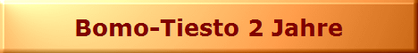 Bomo-Tiesto 2 Jahre