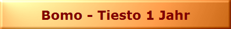 Bomo - Tiesto 1 Jahr