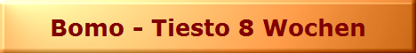 Bomo - Tiesto 8 Wochen