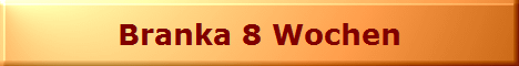 Branka 8 Wochen