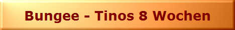 Bungee - Tinos 8 Wochen