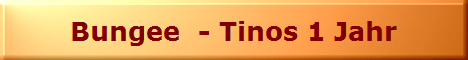 Bungee  - Tinos 1 Jahr