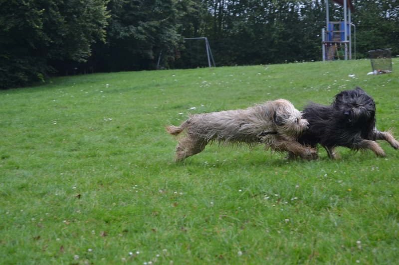 Jade und ein H�bscher