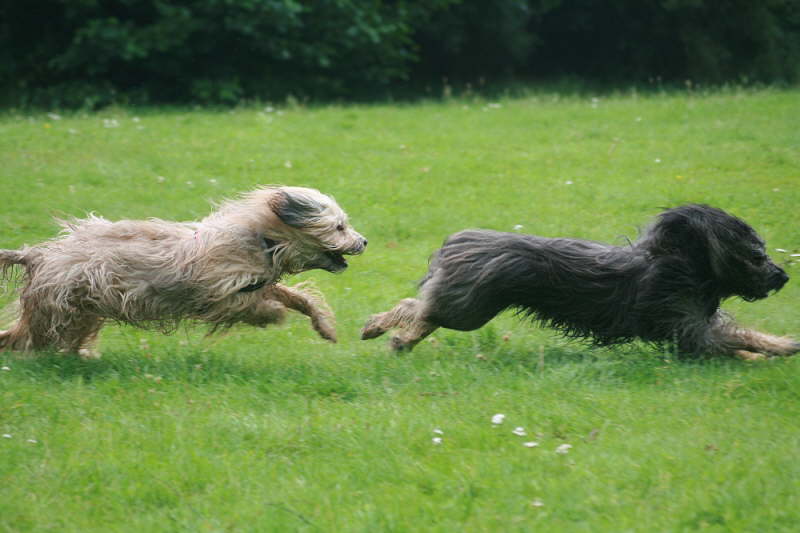 Jade und ein H�bscher