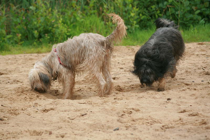 Jade und ein H�bscher