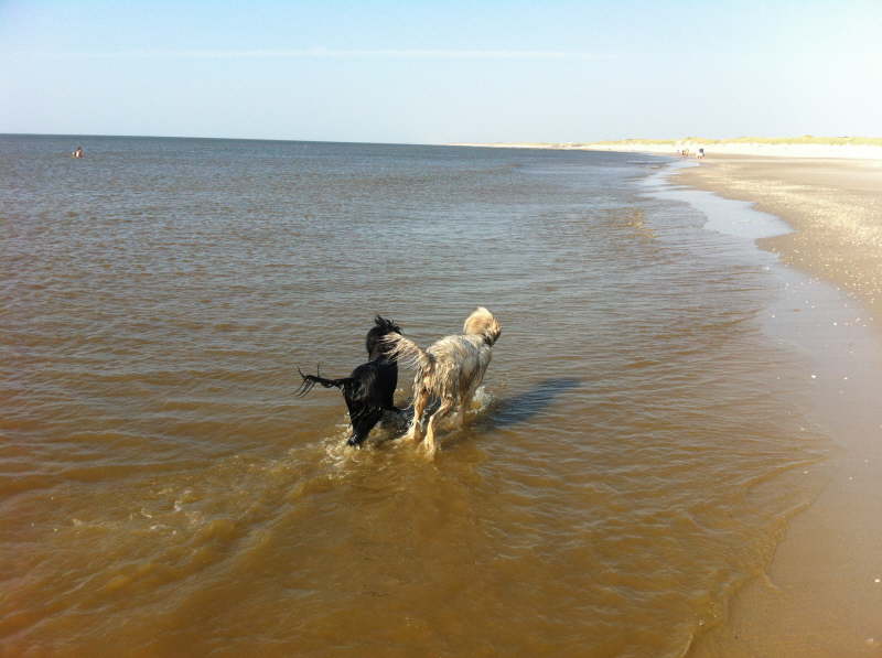 Strand